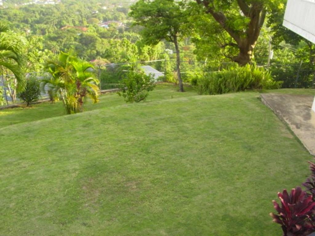 Hill Top Kingston Jamaica Exteriör bild